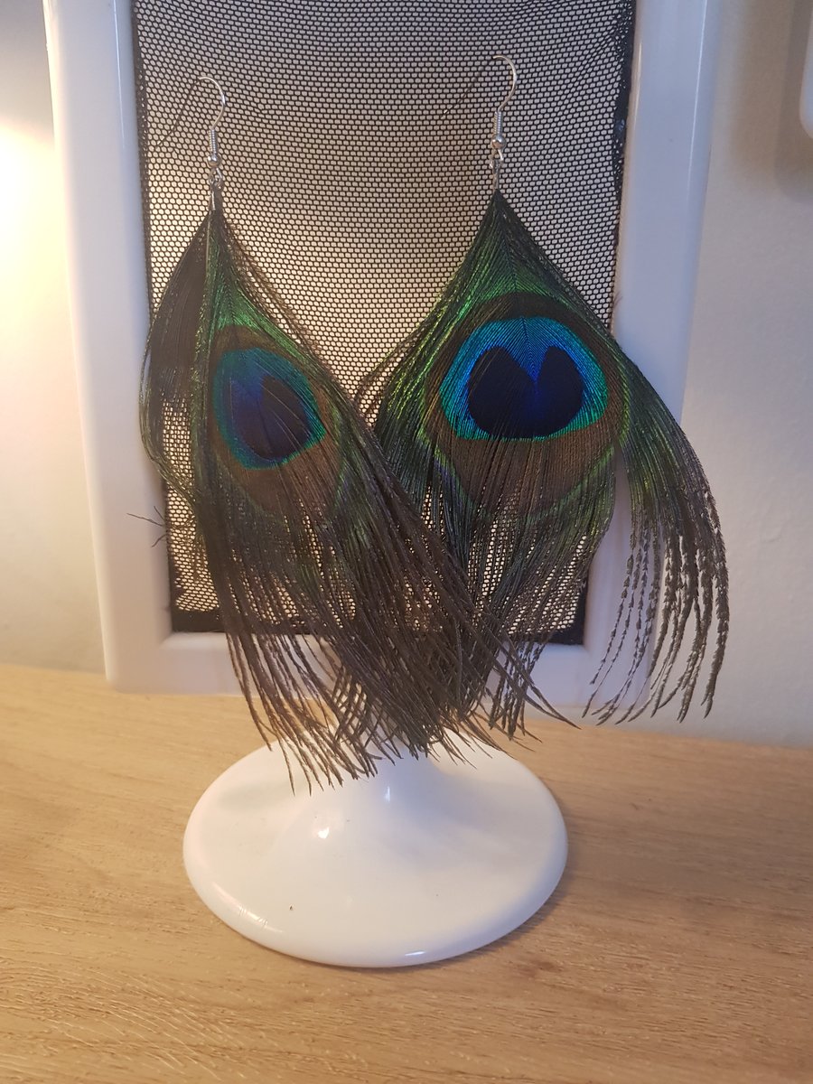 Peacock feather earings 
