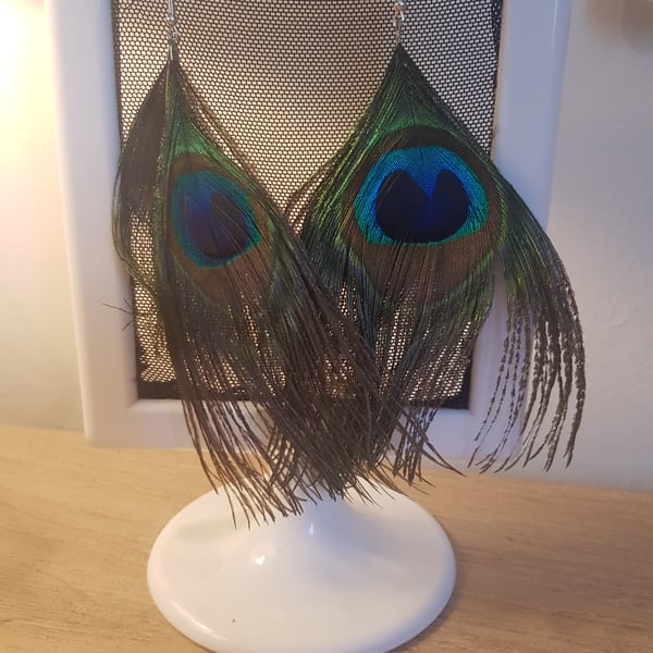 Peacock feather earings 