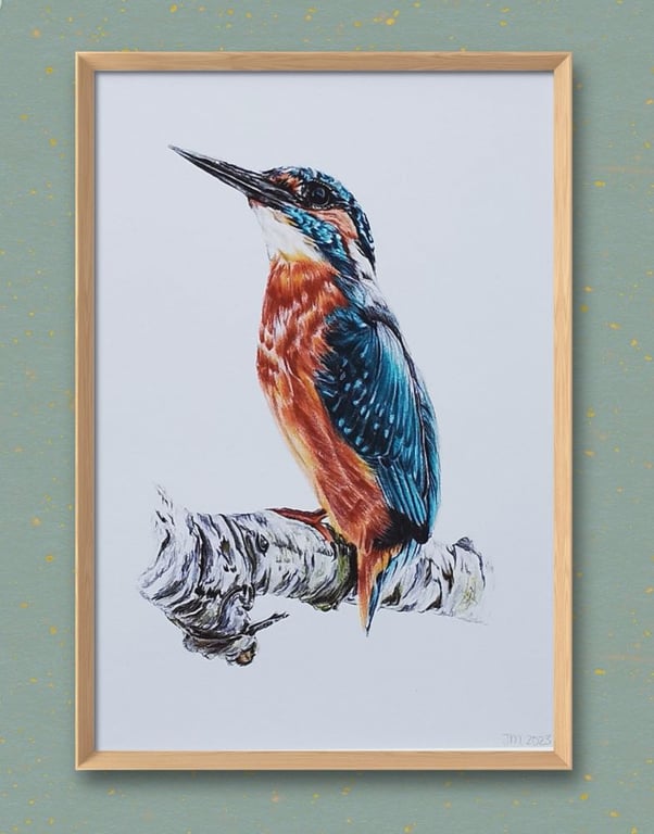 Kingfisher