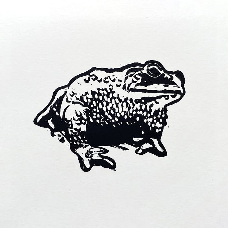 Common Toad - Linocut Print
