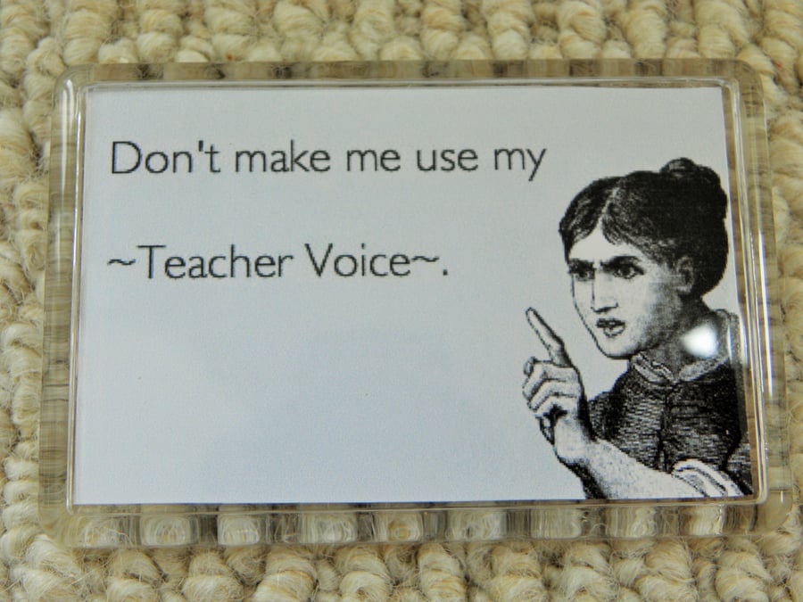 Don't Make Me Use My Teacher Voice Magnet for school staff and parents