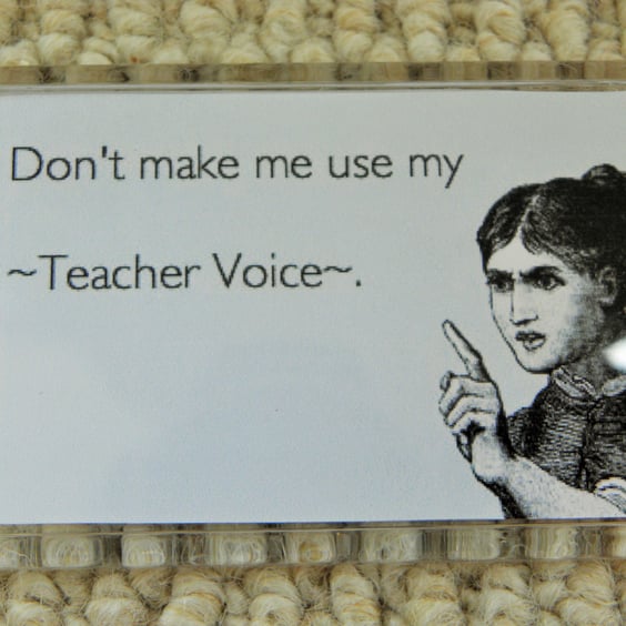 Don't Make Me Use My Teacher Voice Magnet for school staff and parents