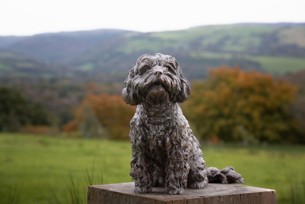 Sitting Cavapoo Statue Large Bronze Resin Sculpture