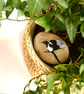 Magpie Story Stone - ready to ship