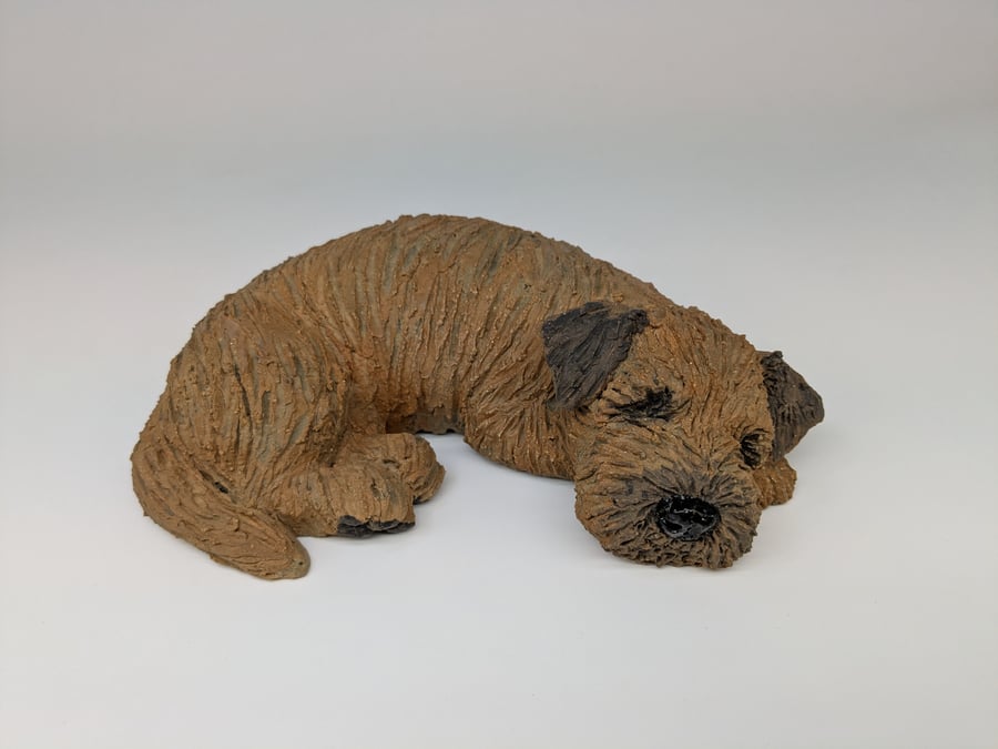 Large Sleeping Border Terrier 1