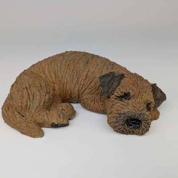 Large Sleeping Border Terrier 1