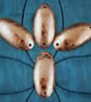 Floral domed oval Copper Spacer connector - etched copper connector - Image 2