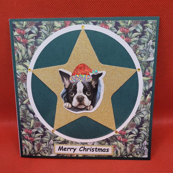 Xmas Star Dog Christmas Card Boston Terrier