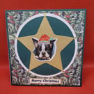 Xmas Star Dog Christmas Card Boston Terrier