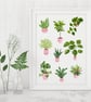 Houseplants Art Print - Plant Lover Gift - Image 4