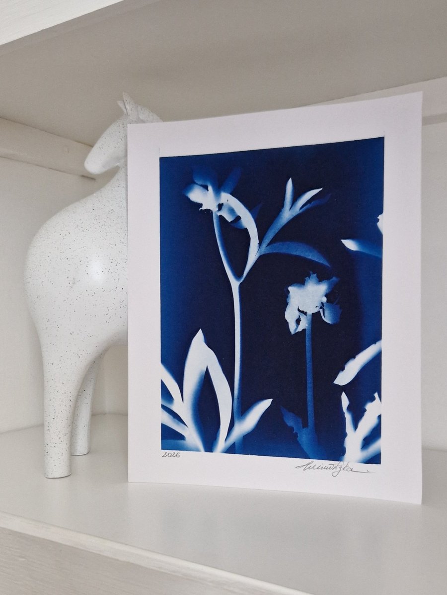 Cyanotype Botanical Print No.2