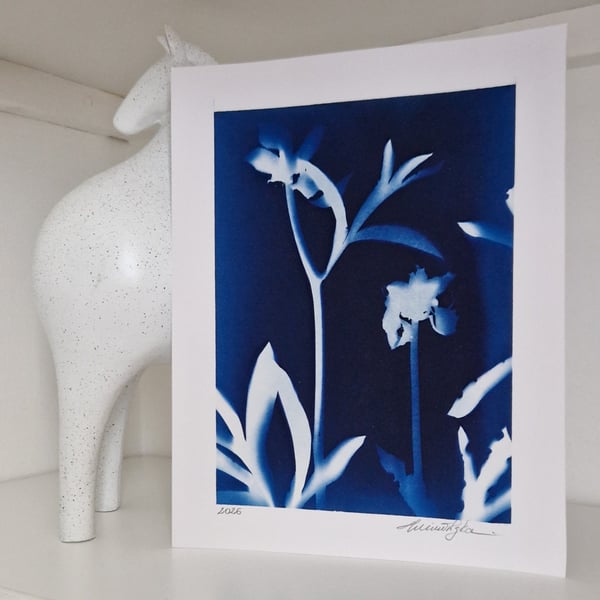 Cyanotype Botanical Print No.2