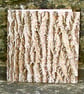 Greetings Card - Blank - Ash Tree Bark - Image 2