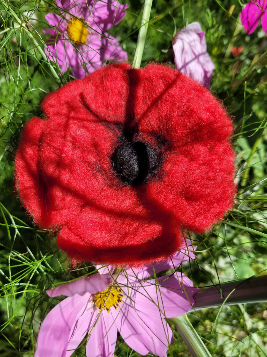 Wet Felted poppy brooch