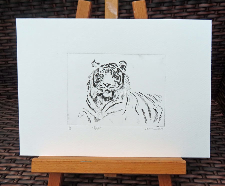 Tiger Limited Edition Original Hand-Pulled Drypoint Print Animal Art