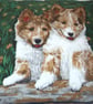 Lovely Corgi pups waiting for some fun cushion  - Image 2