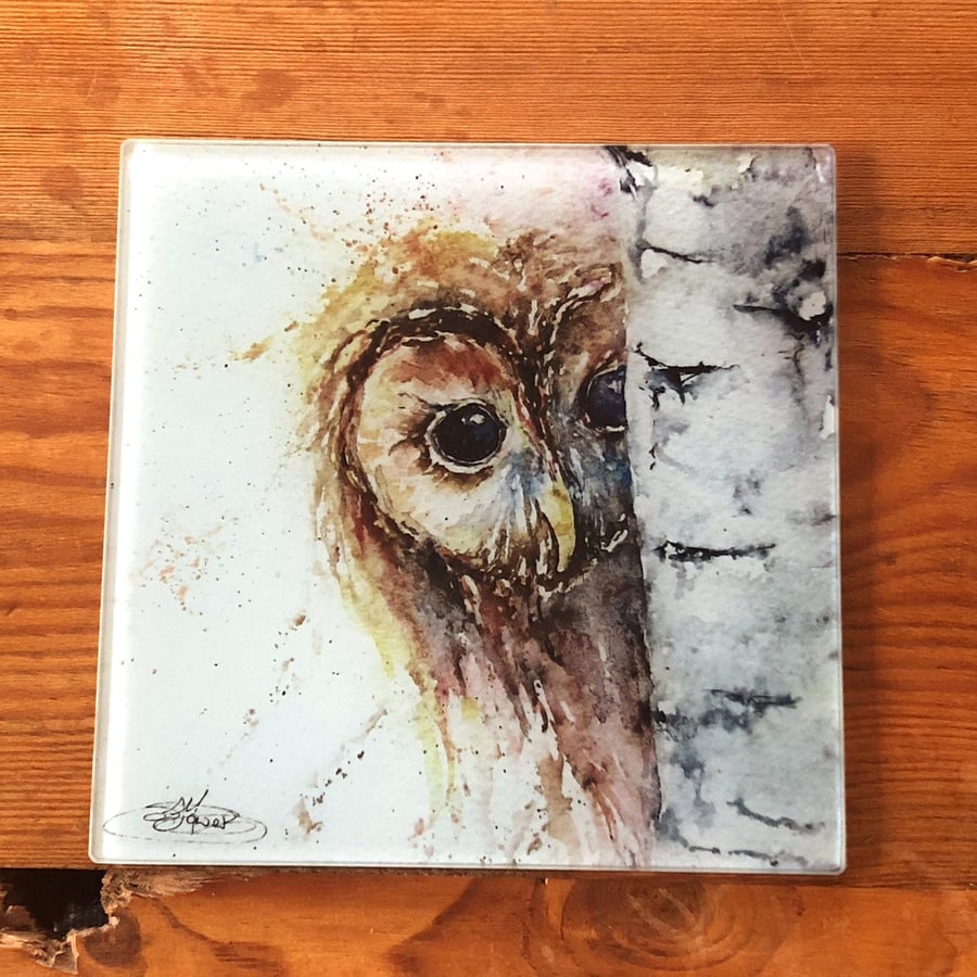 Tawny Owl Watercolour Glass Trivet, 20cm Table Mat, Placemat, 