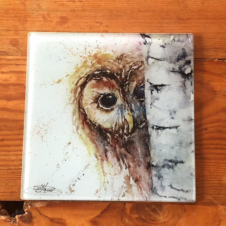 Tawny Owl Watercolour Glass Trivet, 20cm Table Mat, Placemat, 