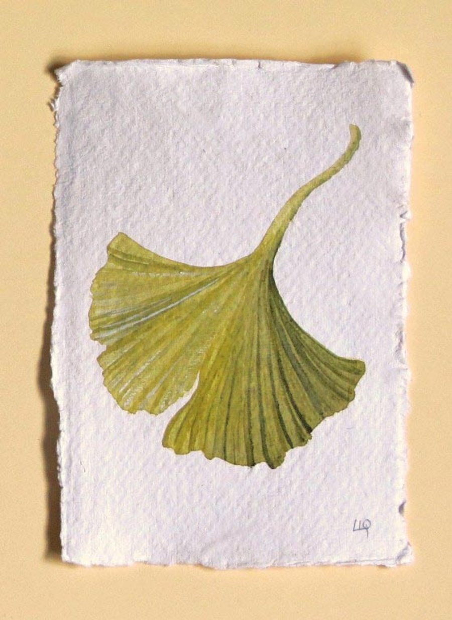 Gingko leaf original watercolour study illustration