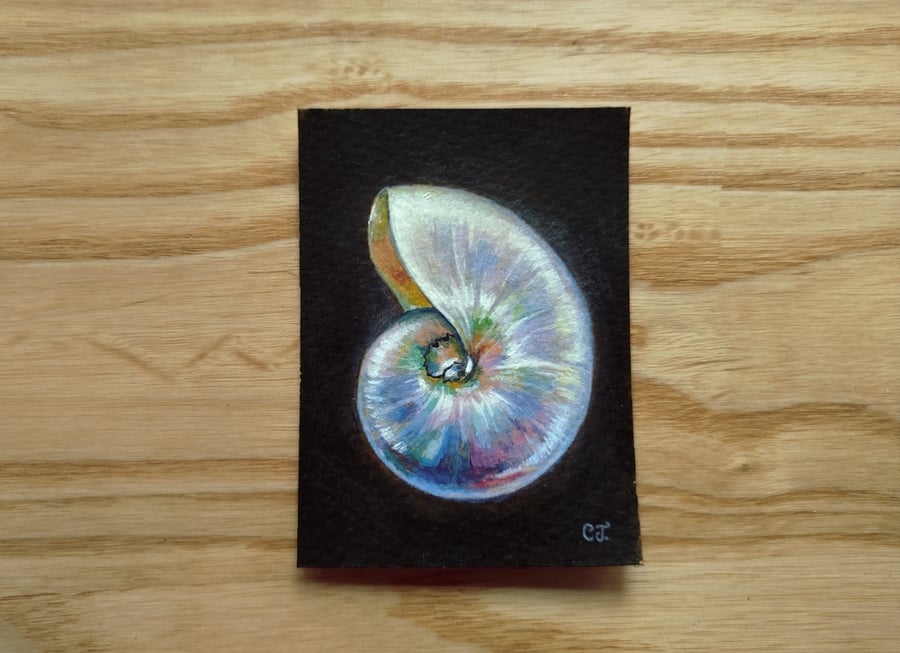 Iridescent Shell ACEO Gouache Painting