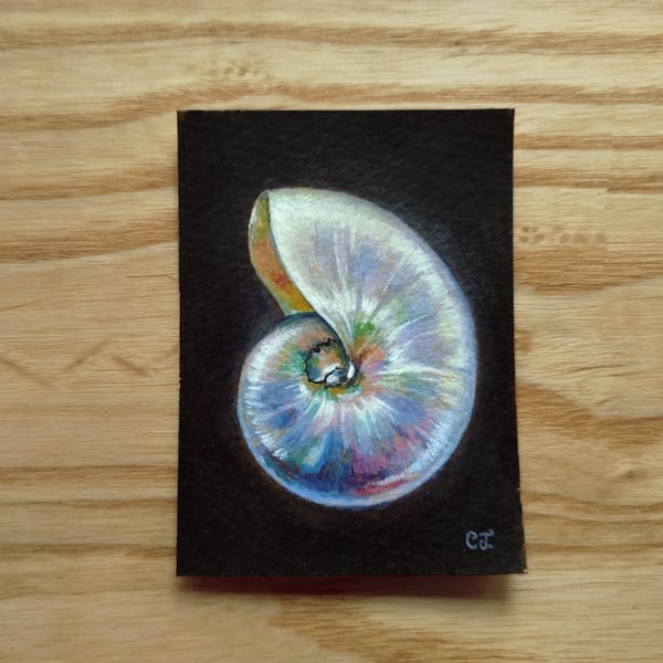 Iridescent Shell ACEO Gouache Painting