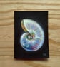 Iridescent Shell ACEO Gouache Painting