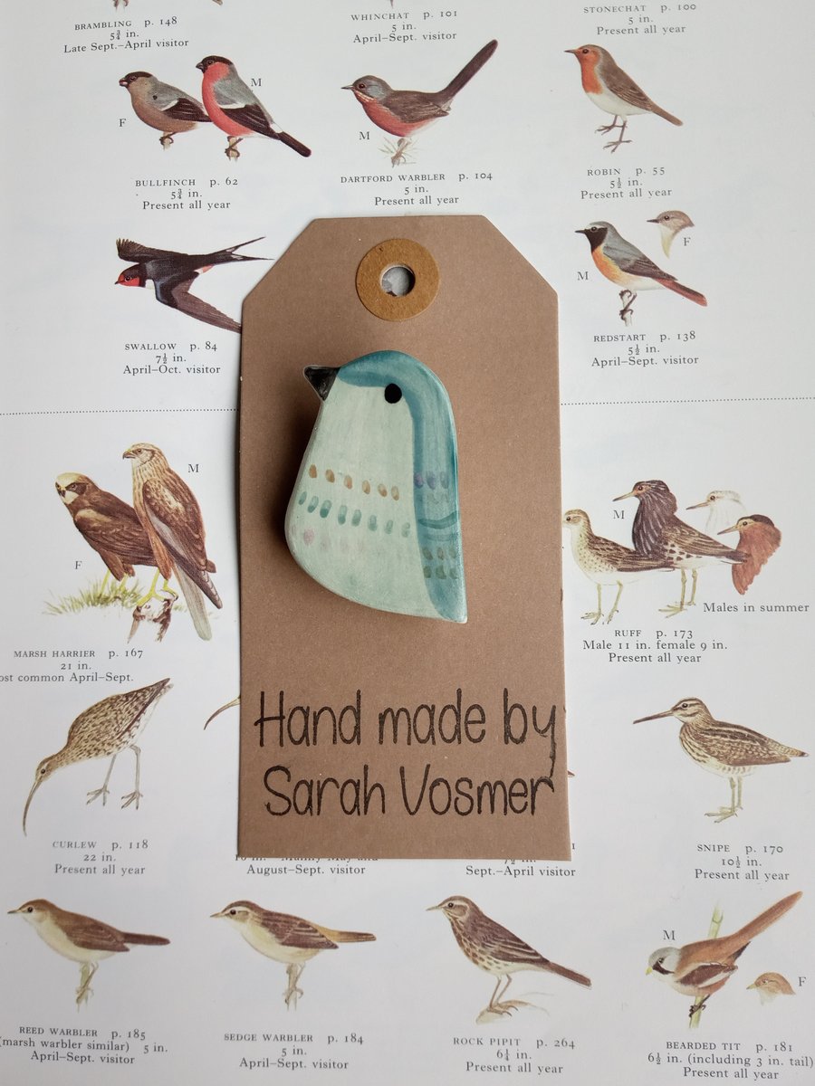 Ceramic Bird Brooch