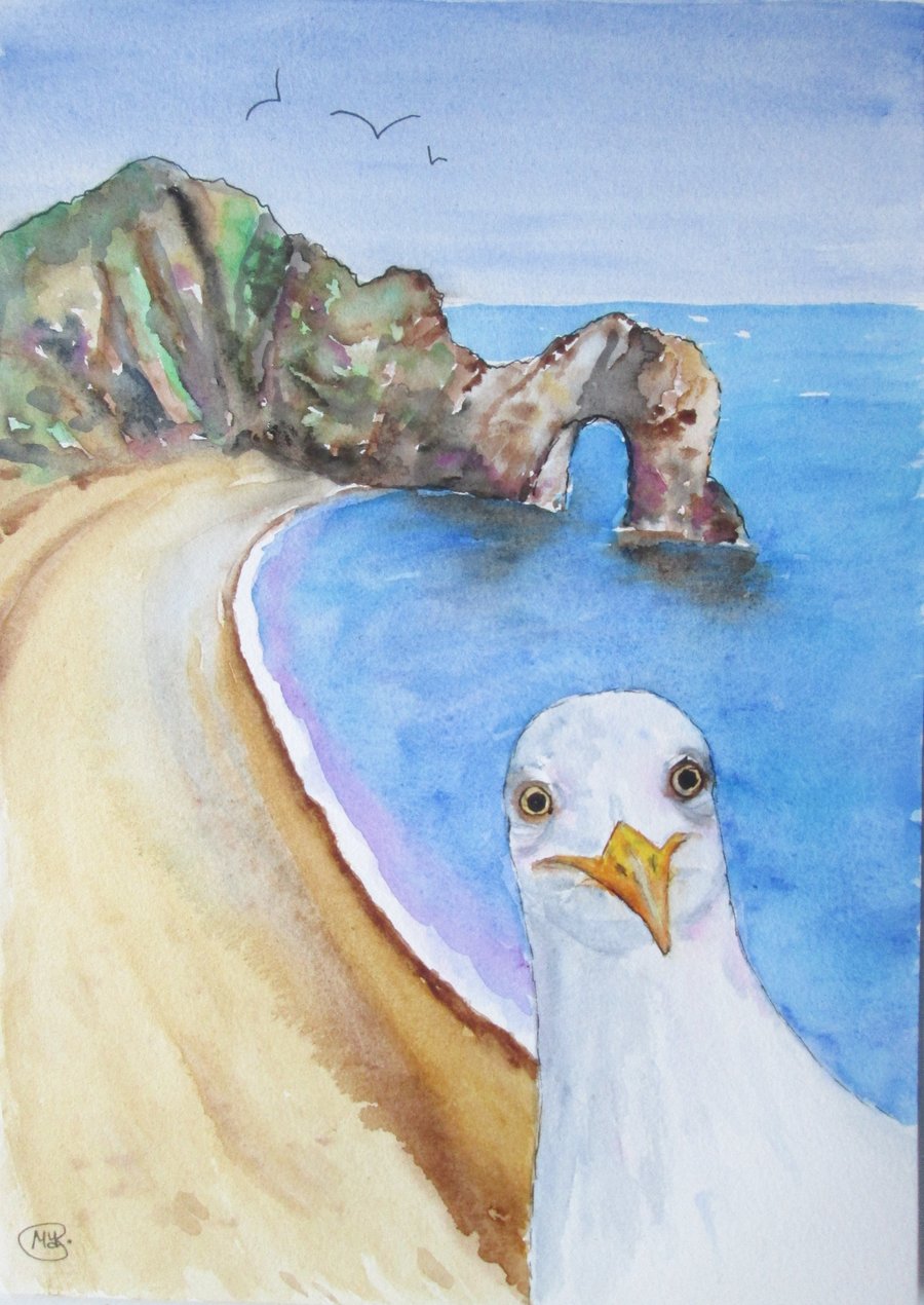 Seagull at Durdle Door. Print of Original painting