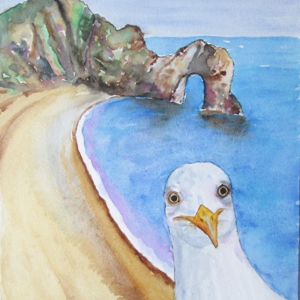 Seagull at Durdle Door. Print of Original painting