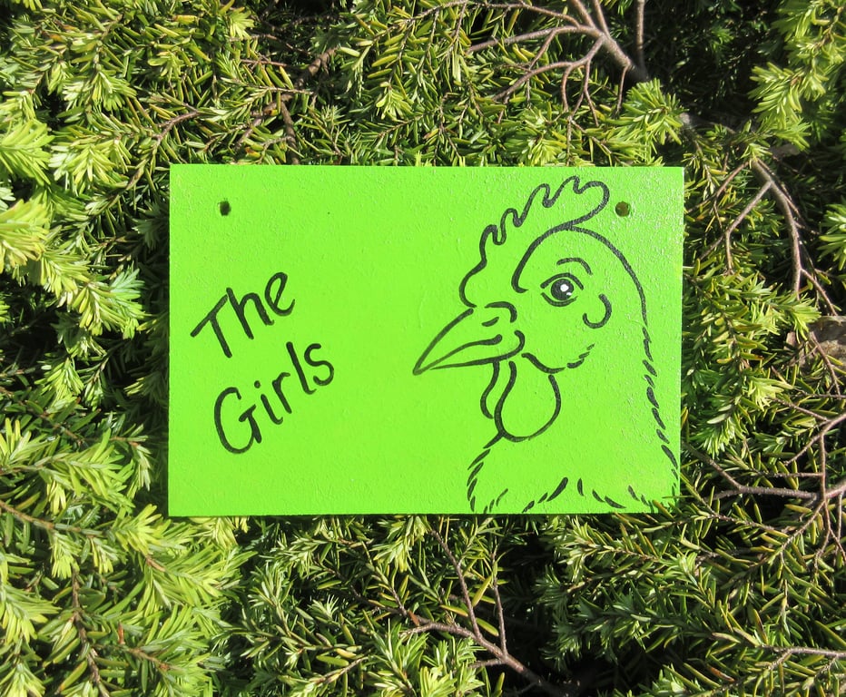 Chicken House Pet Sign The Girls for Hen Coop or Shed