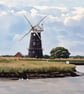 A4 Print Of Berney Arms Windmill & Swans Norfolk Broads 