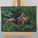 Red Squirrel Mini Original Acrylic Painting