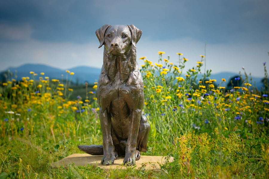 Sitting Sporting Labrador Dog Statue Large Bronze Resin Garden Sculpture