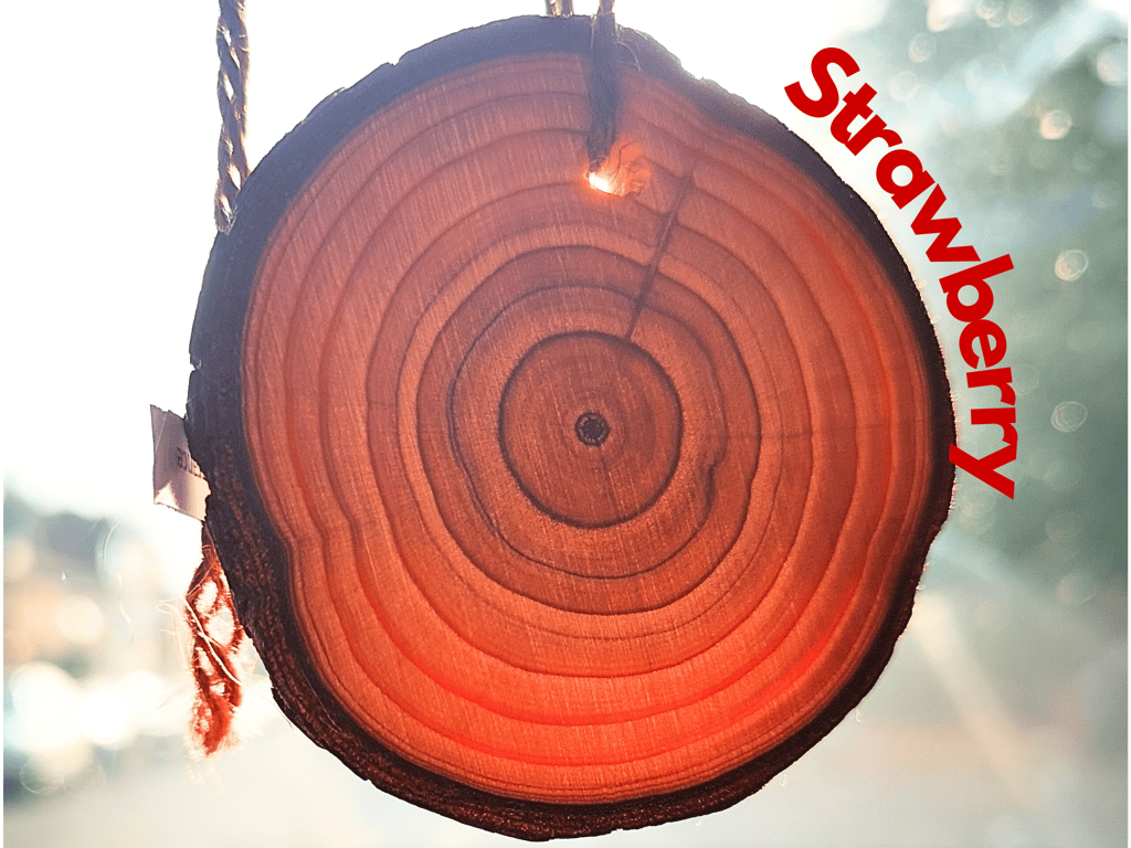 Strawberry Car Air Freshener. Wooden slice with long-lasting fragrance. Handmade