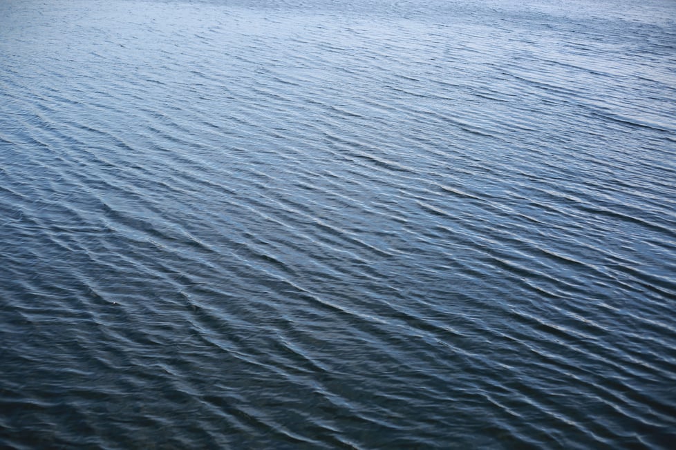 viviennerickmanpoole