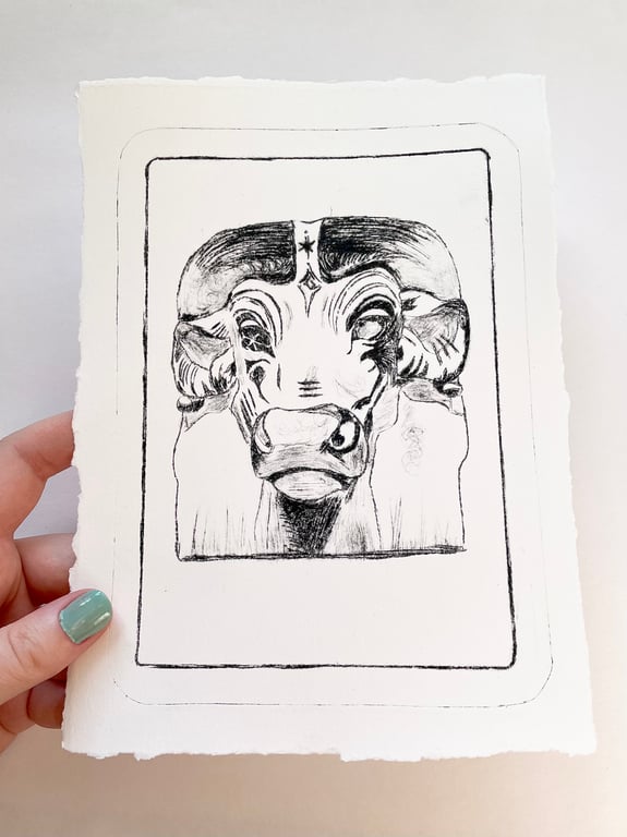 Cow Drypoint Print, A5 Size