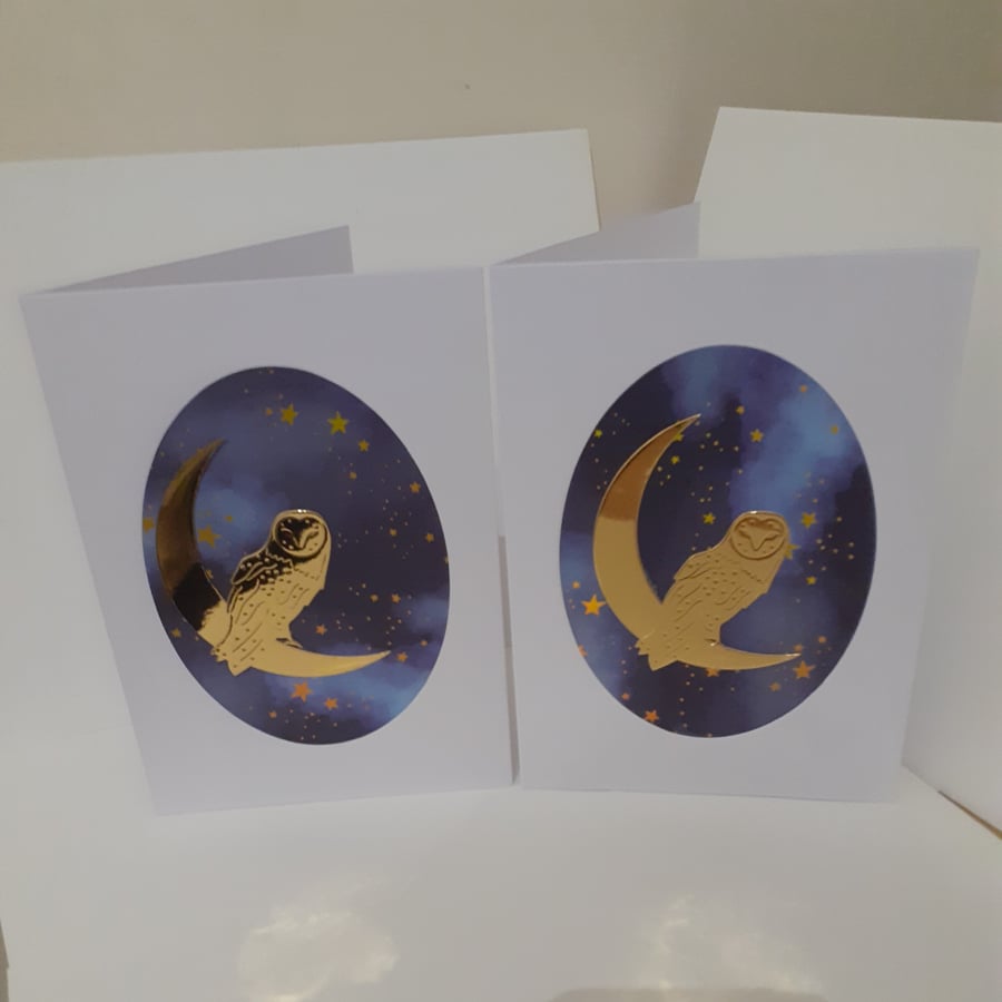 Set of two matching owl in the night note cards .