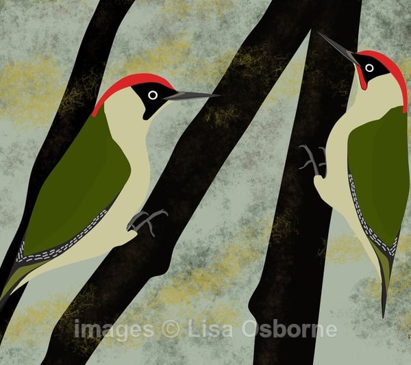 Green woodpeckers - print from digital illustration - birds