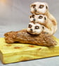3 Meerkats hugging at a log - Image 3