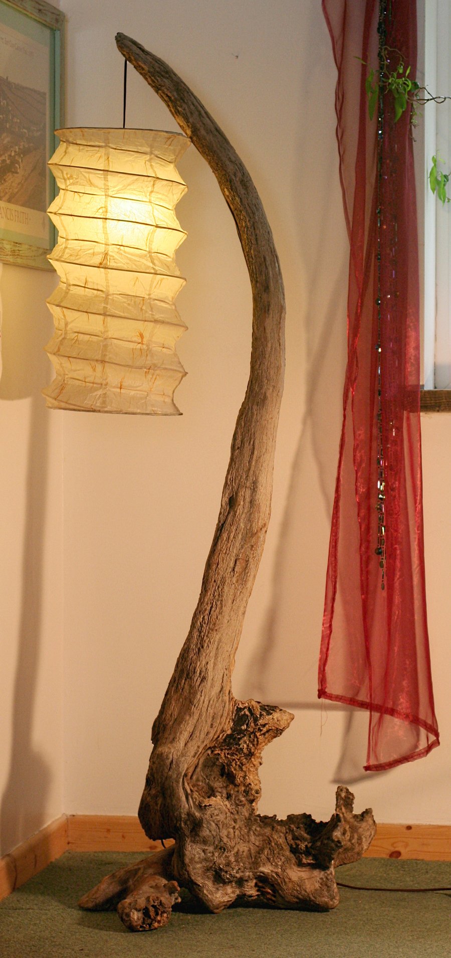 Driftwood Lamp, Large, Floorstanding lamp, Drift Wood Cornwall UK. 175 cm tall.