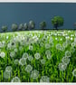 Dandelion Clocks screen print - Perfectly Imperfect - Image 1