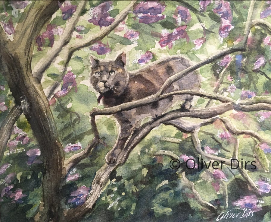 Suburban Tiger - original watercolour, framed