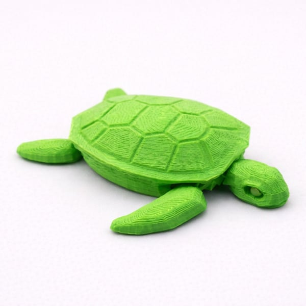 Articulated Sea Turtle - 100 - 100 - 20mm