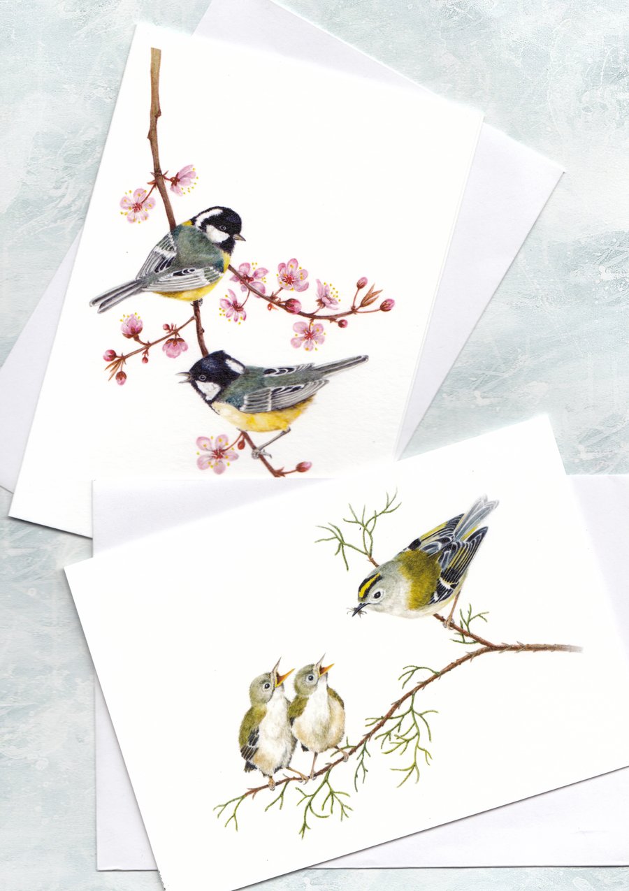 Garden Birds Cards, Coal Tits and Goldcrests, pack of 2