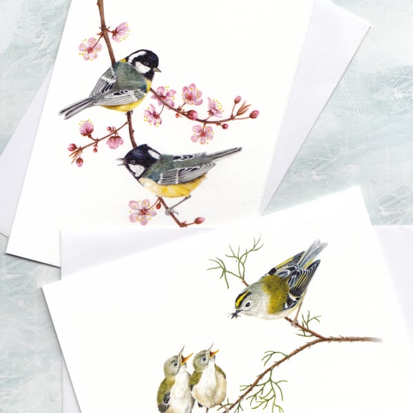 Garden Birds Cards, Coal Tits and Goldcrests, pack of 2