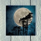 Moonlit Trees on Skye, Greetings Card