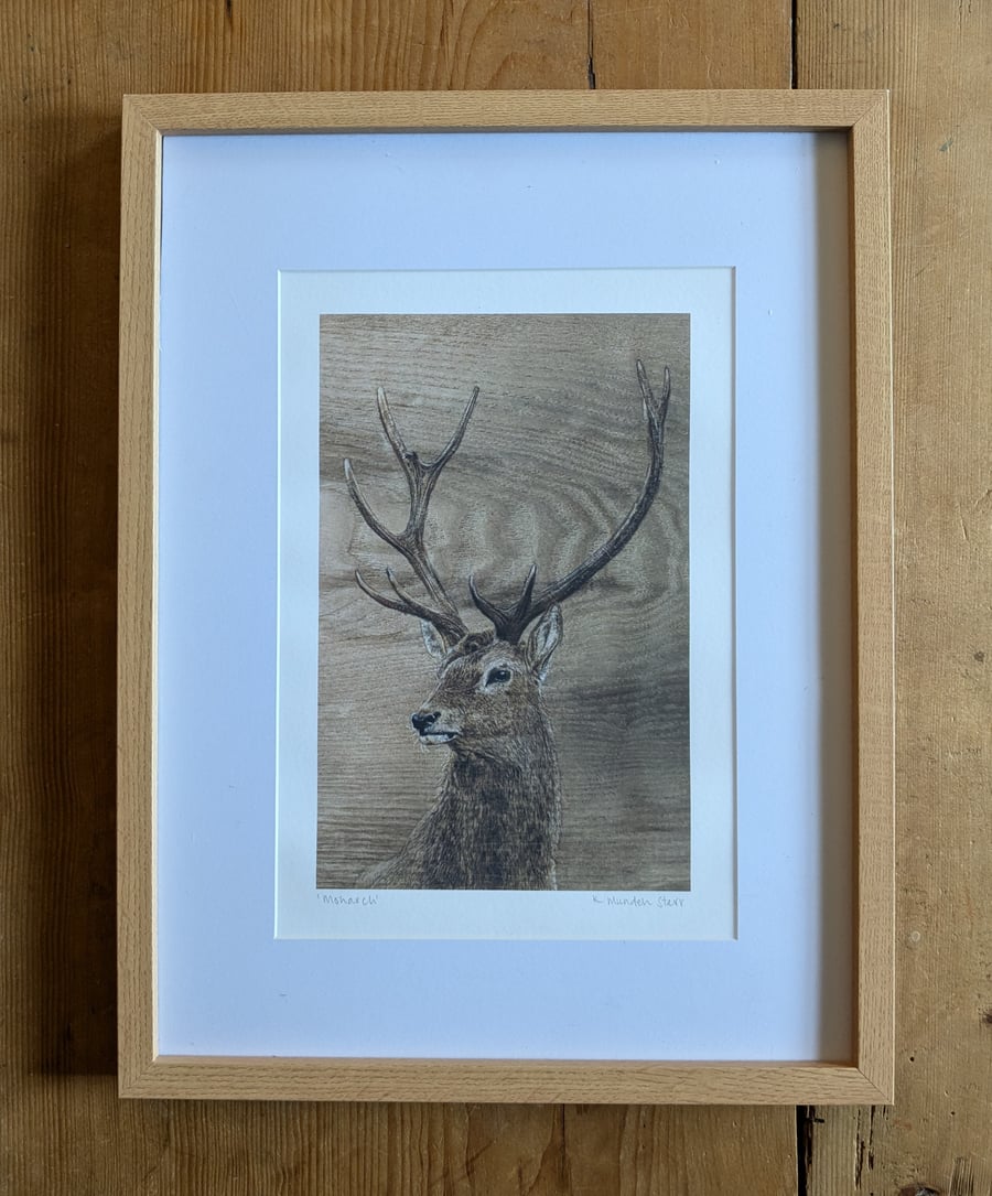 Framed Stag Giclee Print