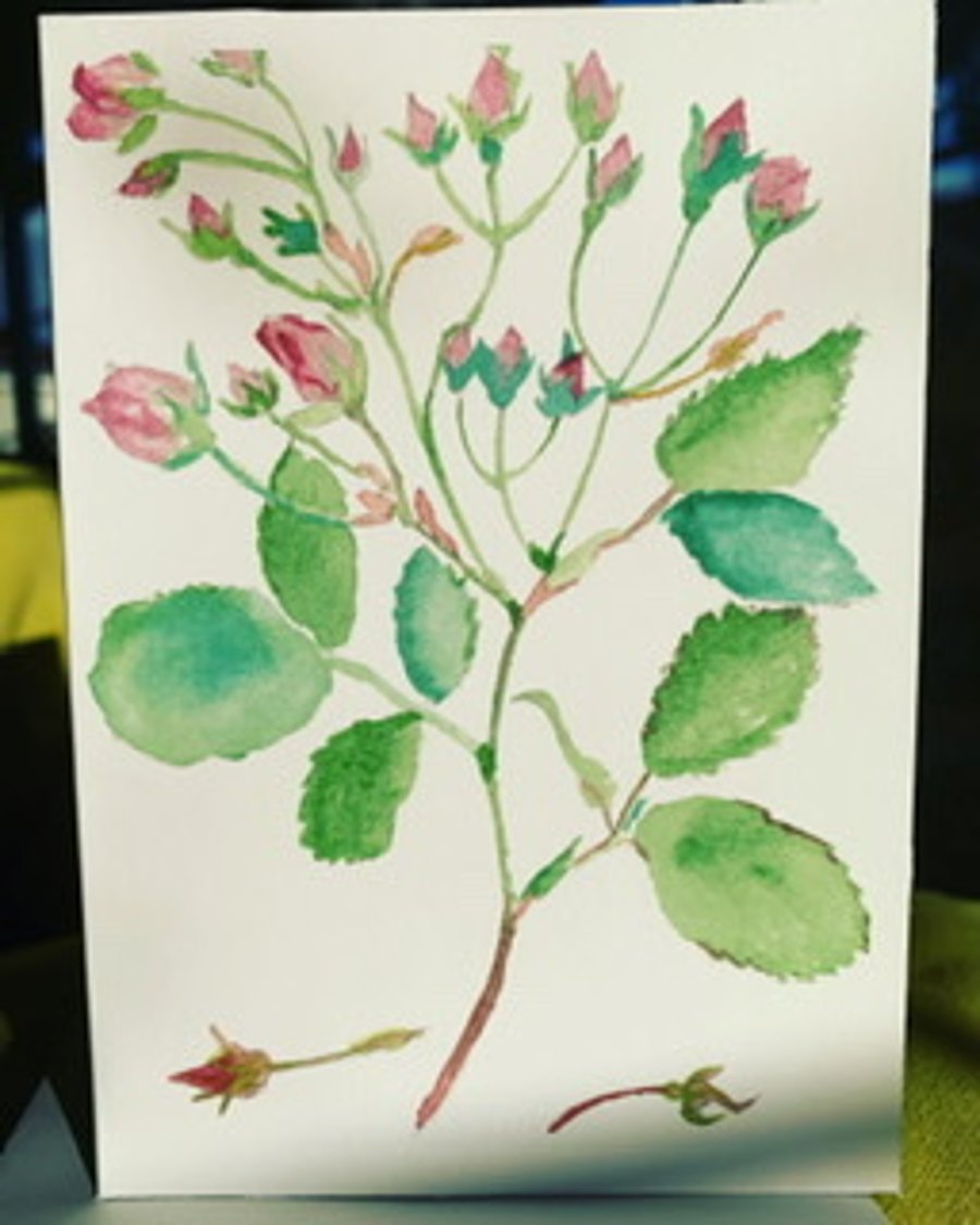 Little pink roses greeting card