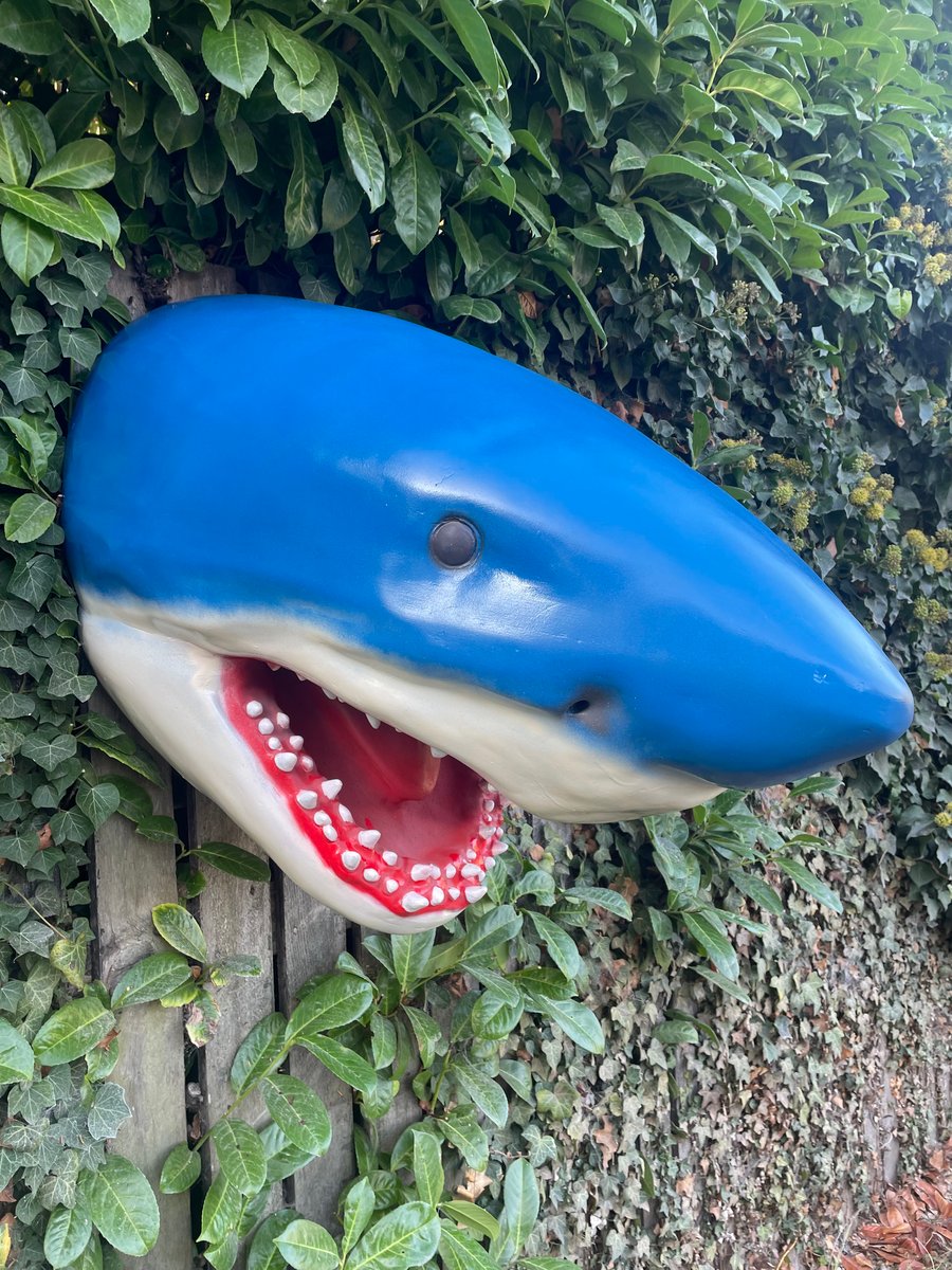 Large Fibreglass Jaws Shark Head Sculpture in Blue
