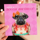 Female pug dog birthday card: Bougie Birthday